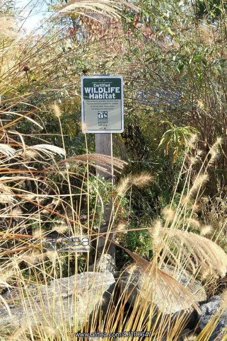 : Wildlife Habitat : Wildlife Habitat
