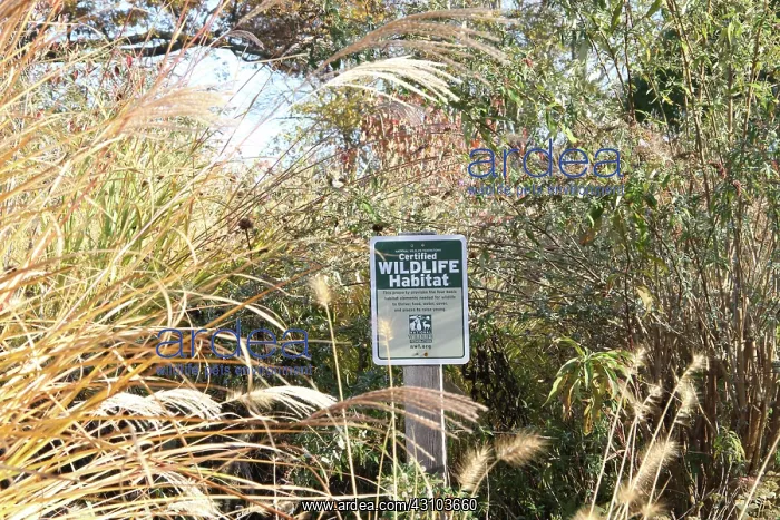 : Wildlife Habitat : Wildlife Habitat