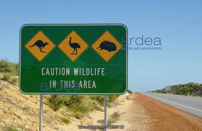 : Wildlife sign in Lancelin on Indian Ocean : Wildlife sign in Lancelin on Indian Ocean
