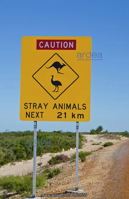 : Wildlife sign in Lancelin on Indian Ocean : Wildlife sign in Lancelin on Indian Ocean