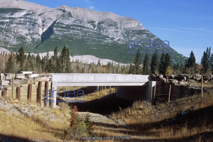 : Wildlife Underpass : Wildlife Underpass