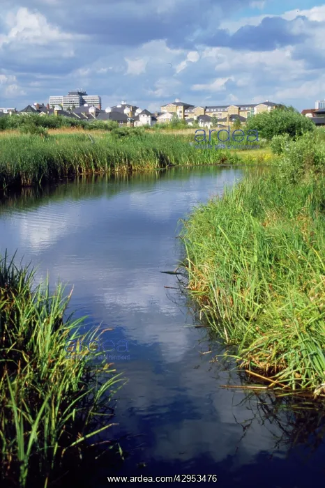 : Wildlife & Wetlands Trust (WWT) - London Wetland : Wildlife & Wetlands Trust (WWT) - London Wetland