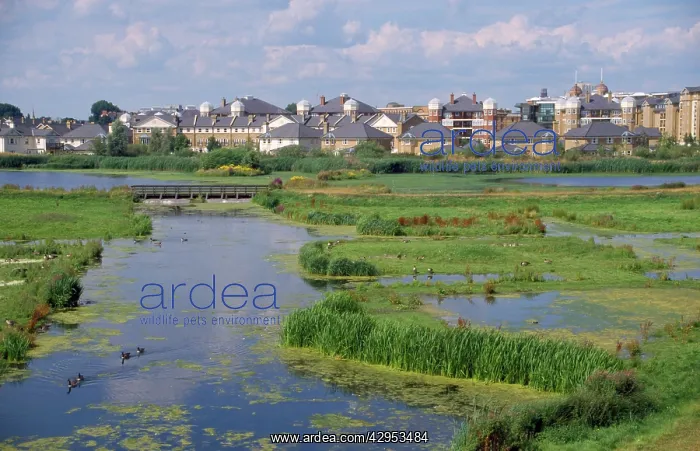 : Wildlife & Wetlands Trust (WWT) - London Wetland : Wildlife & Wetlands Trust (WWT) - London Wetland