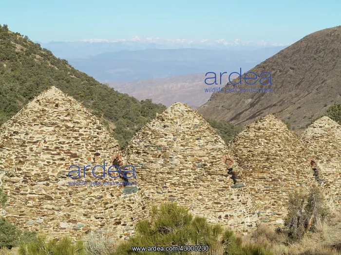 : The Wildrose charcoal kilns in the Panamint Mountains : The Wildrose charcoal kilns in the Panamint Mountains