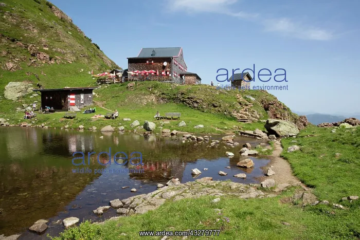 : Wildseeloderhaus at Lake Wildseelodersee, 1854m : Wildseeloderhaus at Lake Wildseelodersee, 1854m