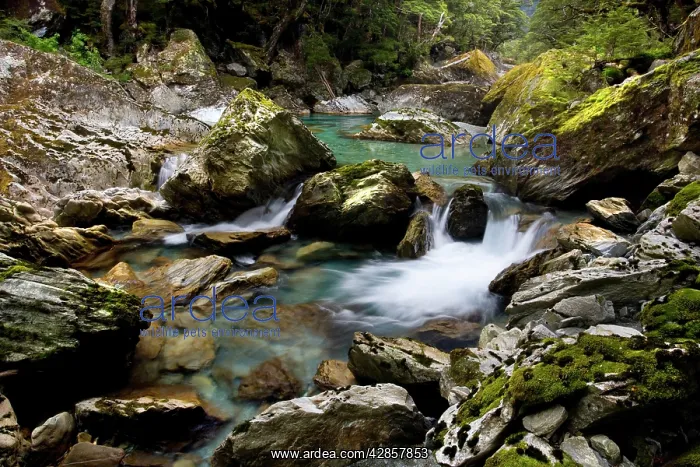 : Wildwater river - clear water running through a : Wildwater river - clear water running through a