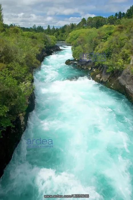 : Wildwater river - water masses of Waikato river : Wildwater river - water masses of Waikato river