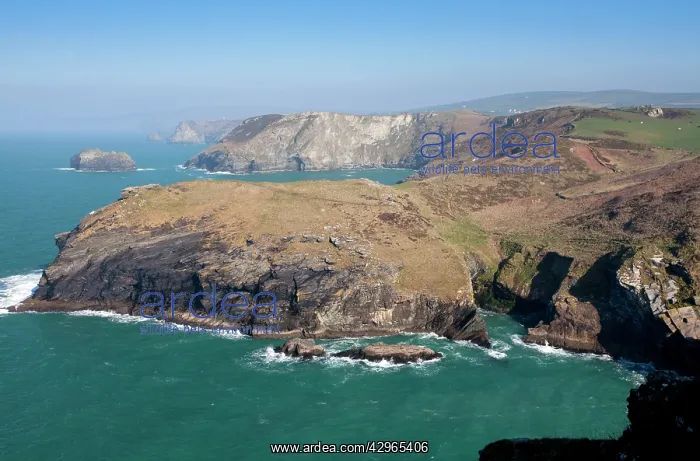 : Willapark and the North Cornish coast - from Tintagel : Willapark and the North Cornish coast - from Tintagel