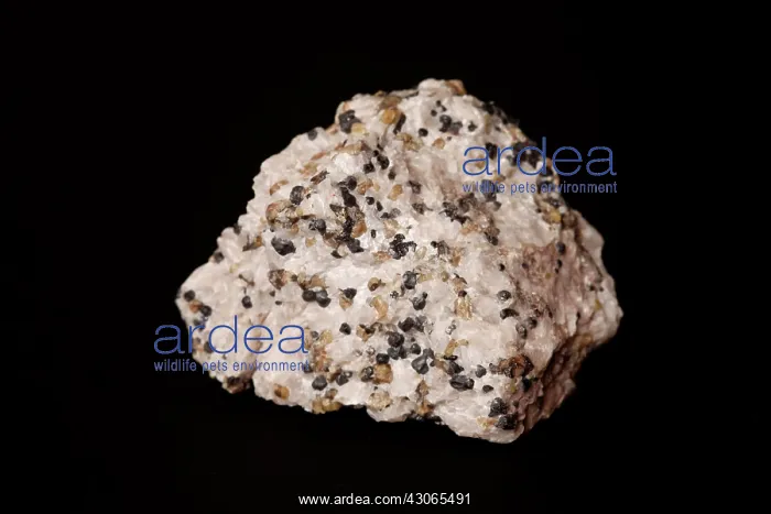 : Willemite photographed in white light. Calcite, willemite and franklinite (black) : Willemite photographed in white light. Calcite, willemite and franklinite (black)