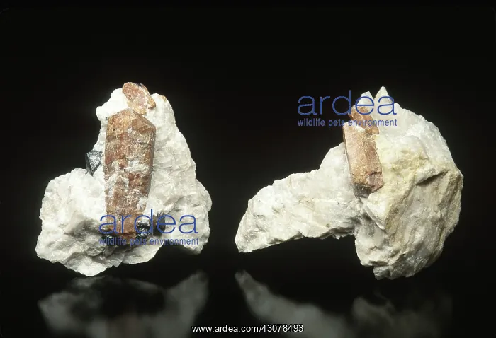 : Willemite on Calcite : Willemite on Calcite
