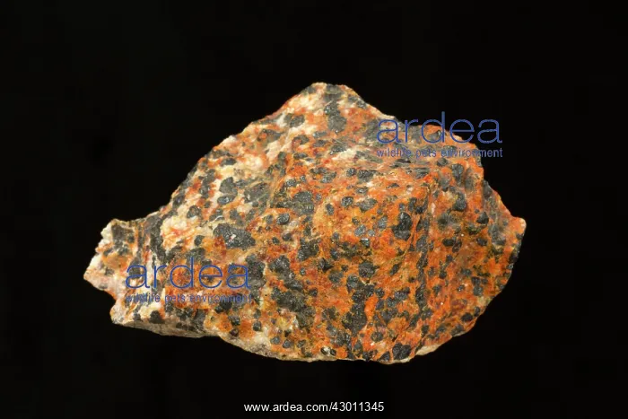 : Willemite Franklinite, Zincite, Calcite : Willemite Franklinite, Zincite, Calcite