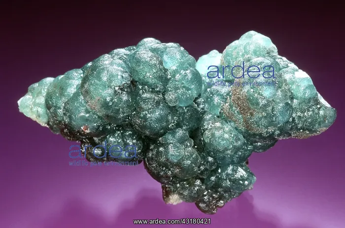 : Willemite From Tsumeb, Namibia : Willemite From Tsumeb, Namibia