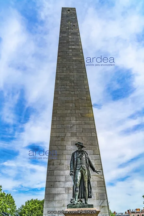 : William Prescott Statue, Bunker Hill Battle Monument : William Prescott Statue, Bunker Hill Battle Monument