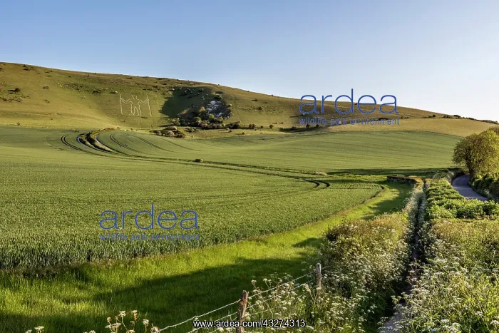: Wilmington Long Man - East Sussex - UK : Wilmington Long Man - East Sussex - UK