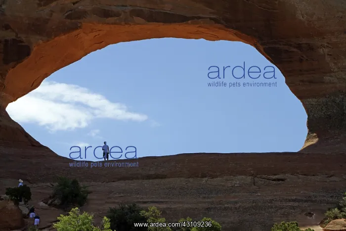 : Wilson Arch, Utah : Wilson Arch, Utah