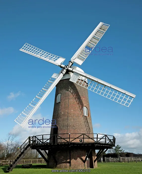 : Wilton Windmill : Wilton Windmill