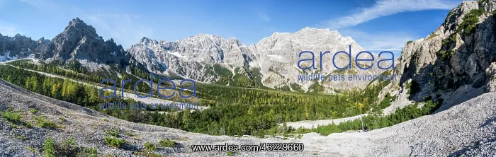 : The Wimbachgries in the heart of the Nationalpark : The Wimbachgries in the heart of the Nationalpark