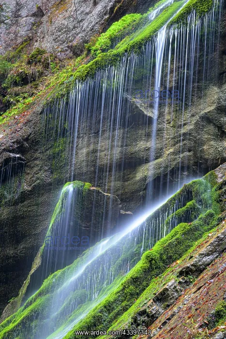 : Wimbachklamm Gorge, Berchtesgaden National Park : Wimbachklamm Gorge, Berchtesgaden National Park