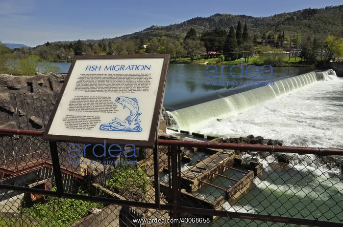 : Winchester Dam and fish ladder : Winchester Dam and fish ladder