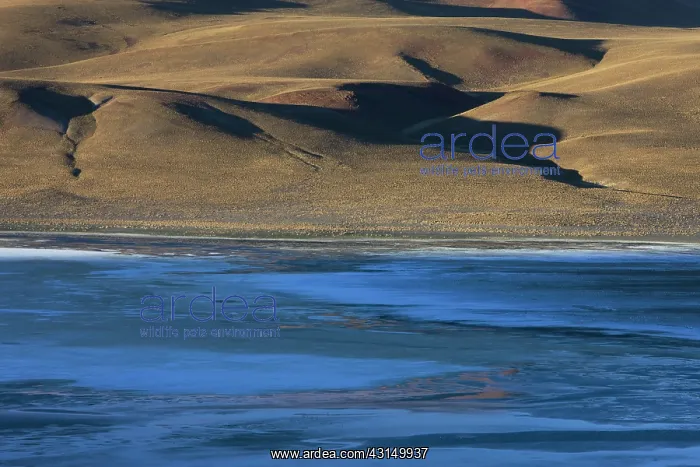 : Wind blowing gusts of salt on the Salar de Chalviri : Wind blowing gusts of salt on the Salar de Chalviri