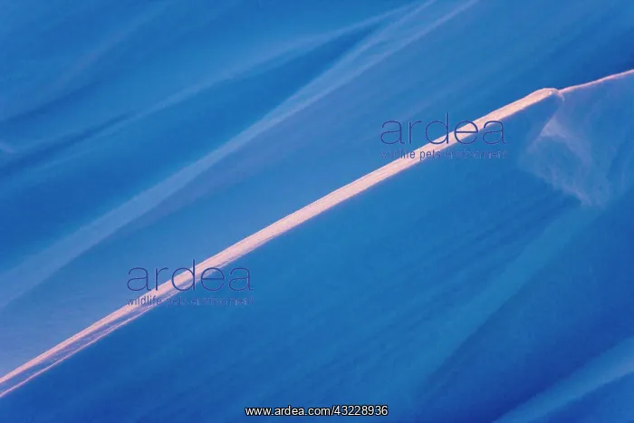 : Wind carved ice, Wapusk National Park, Manitoba : Wind carved ice, Wapusk National Park, Manitoba