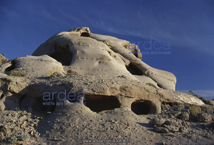 : Wind Caves in California : Wind Caves in California