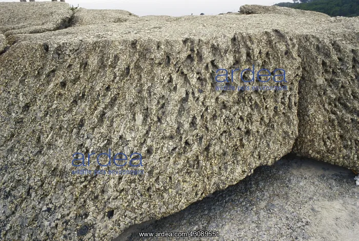  : Wind-eroded Granite