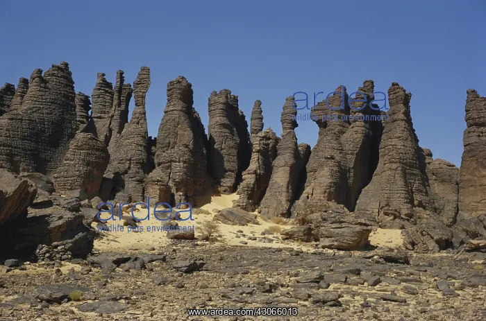 : Wind-eroded Rocks, Algeria : Wind-eroded Rocks, Algeria