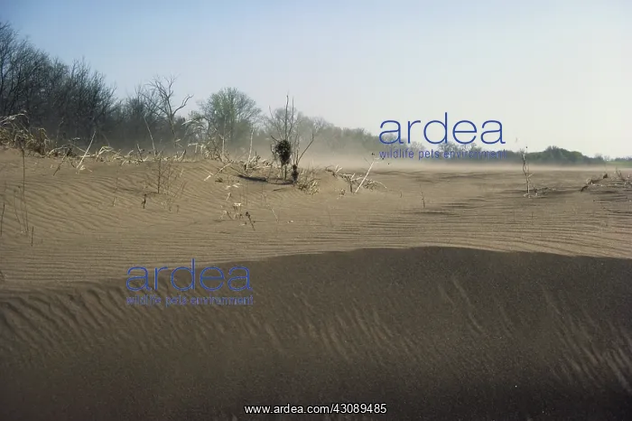 : Wind Erosion : Wind Erosion