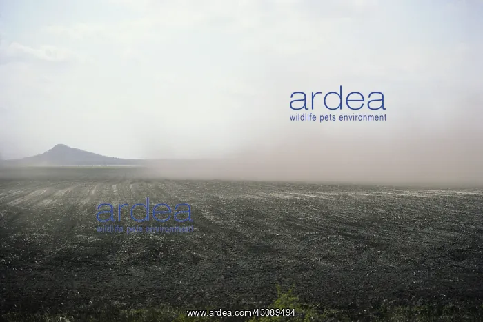 : Wind Erosion : Wind Erosion