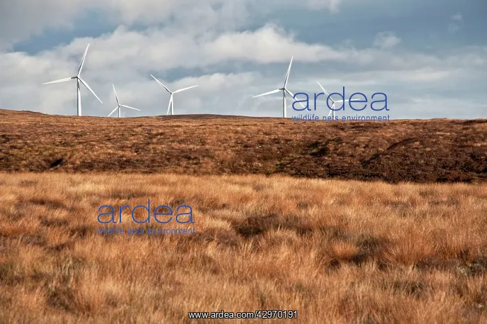 : Wind farm - on moorland above Findhorn Valley : Wind farm - on moorland above Findhorn Valley