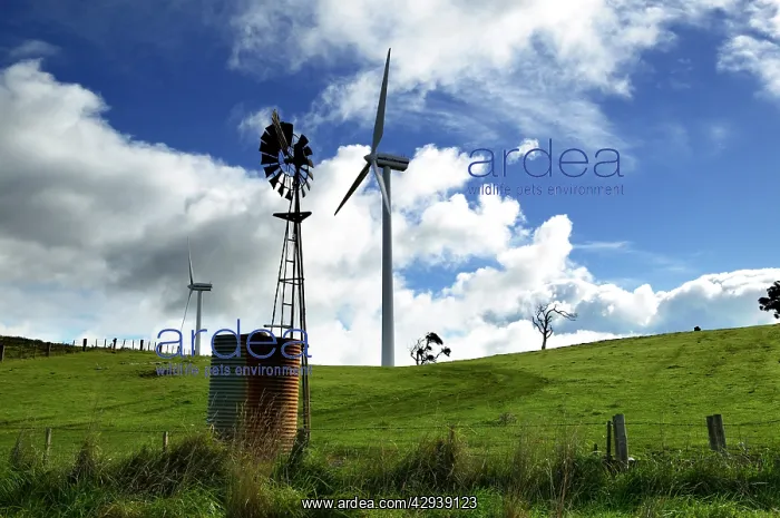 : Wind farm and with windmill near Portland, South Australia : Wind farm and with windmill near Portland, South Australia