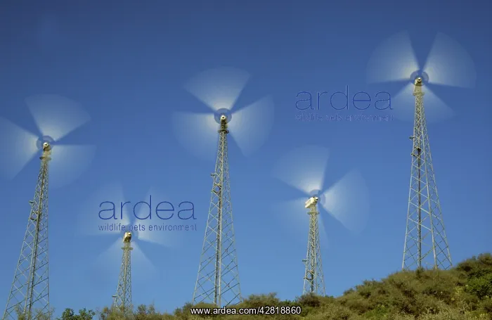 : Wind Generators : Wind Generators