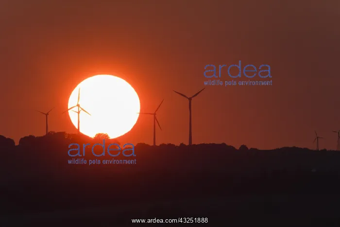 : Wind Park - with setting sun, North Hessen, Germany : Wind Park - with setting sun, North Hessen, Germany