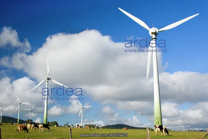  : Wind power plant - wind turbines of Windy Hill