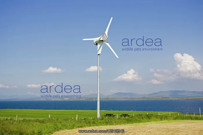 : Wind turbine : Wind turbine
