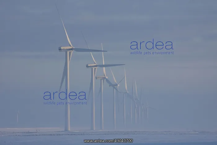 : Wind Turbine generating power on a wind farm : Wind Turbine generating power on a wind farm