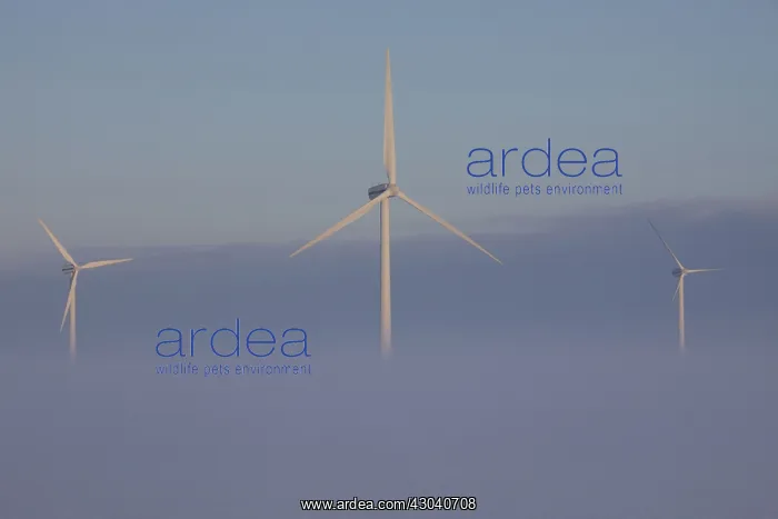 : Wind Turbine generating power on a wind farm : Wind Turbine generating power on a wind farm