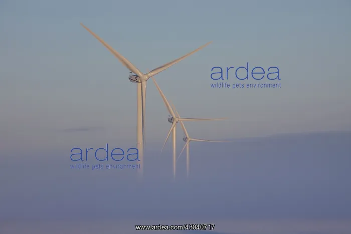 : Wind Turbine generating power on a wind farm : Wind Turbine generating power on a wind farm