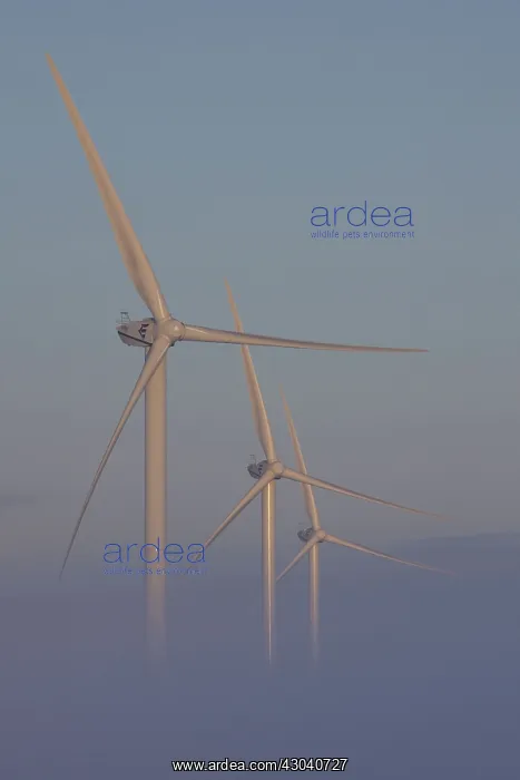 : Wind Turbine generating power on a wind farm : Wind Turbine generating power on a wind farm