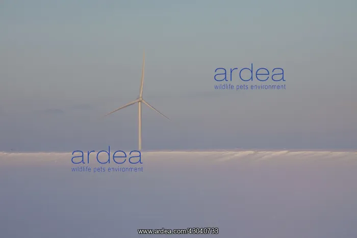: Wind Turbine generating power on a wind farm : Wind Turbine generating power on a wind farm