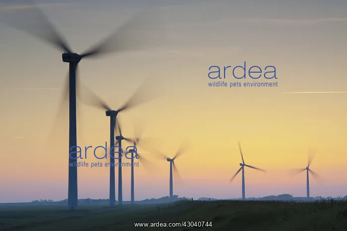 : Wind Turbine generating power on a wind farm : Wind Turbine generating power on a wind farm
