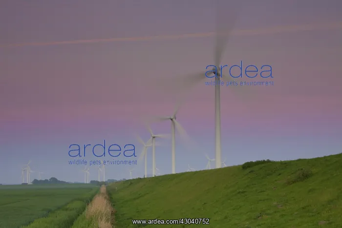 : Wind Turbine generating power on a wind farm : Wind Turbine generating power on a wind farm