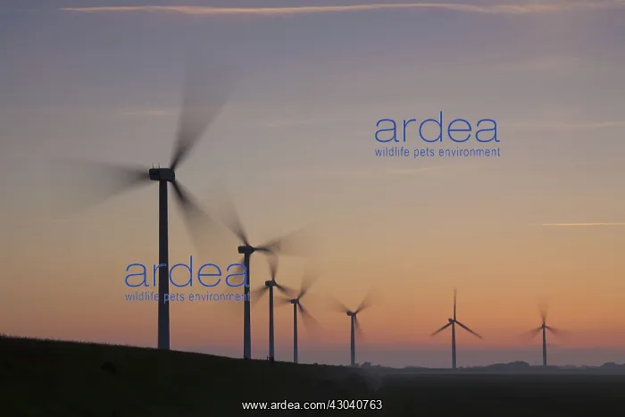 : Wind Turbine generating power on a wind farm : Wind Turbine generating power on a wind farm