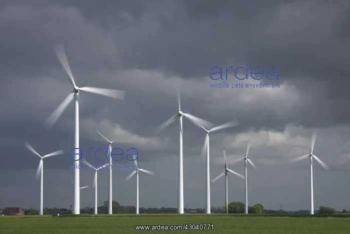 : Wind Turbine generating power on a wind farm : Wind Turbine generating power on a wind farm
