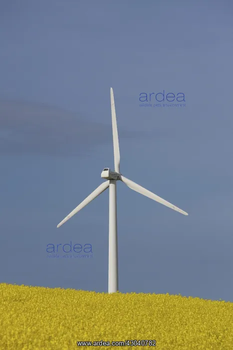 : Wind Turbine generating power on a wind farm : Wind Turbine generating power on a wind farm