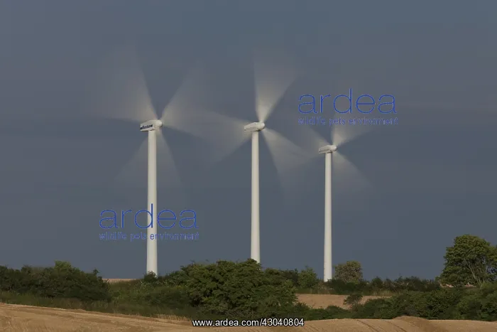 : Wind Turbine generating power on a wind farm : Wind Turbine generating power on a wind farm