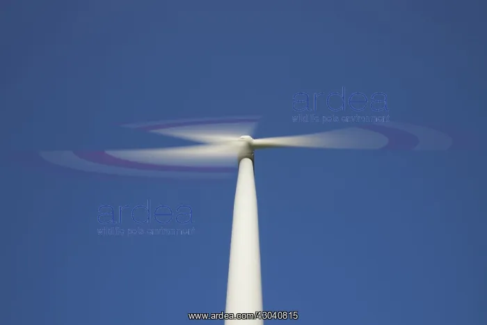 : Wind Turbine generating power on a wind farm : Wind Turbine generating power on a wind farm