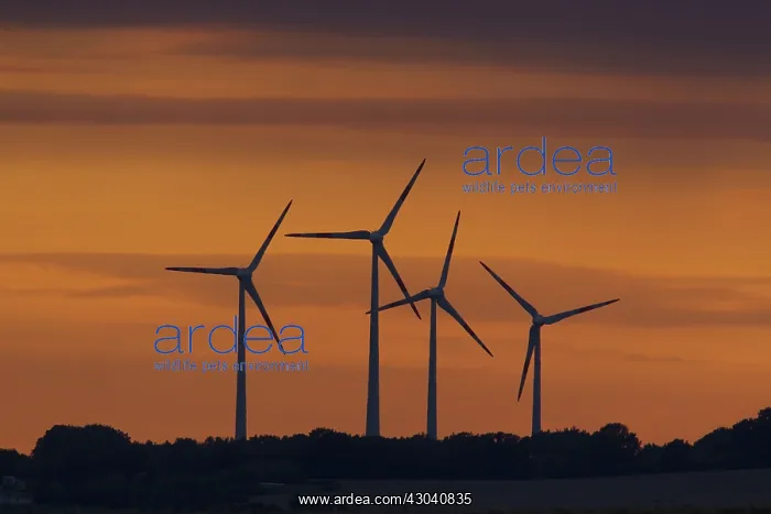 : Wind Turbine generating power on a wind farm : Wind Turbine generating power on a wind farm