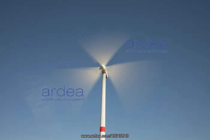 : Wind Turbine generating power on a wind farm : Wind Turbine generating power on a wind farm